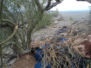 photo thumbnail #6