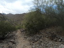 photo thumbnail #7