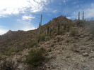 photo thumbnail #9