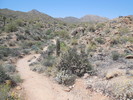 photo thumbnail #2