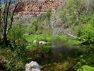 photo thumbnail #11