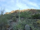 photo thumbnail #2