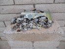 photo thumbnail #6