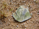 photo thumbnail #8