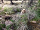 photo thumbnail #8