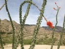 photo thumbnail #14