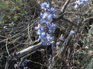 photo thumbnail #2