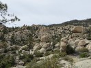 photo thumbnail #13