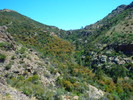 photo thumbnail #8