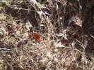 photo thumbnail #1