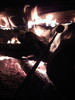 photo thumbnail #7