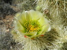 photo thumbnail #2