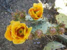 photo thumbnail #14