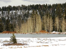 photo thumbnail #14