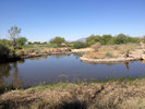 photo thumbnail #12