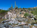 photo thumbnail #10