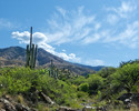photo thumbnail #13