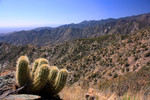 photo thumbnail #13