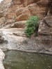 photo thumbnail #13