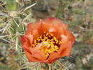 photo thumbnail #5