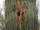 photo thumbnail #11