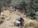 photo thumbnail #3