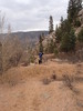 photo thumbnail #7
