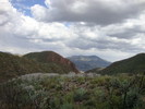 photo thumbnail #15