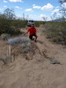 photo thumbnail #15