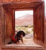 photo thumbnail #1