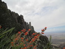 photo thumbnail #9