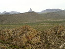 photo thumbnail #11