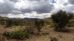 photo thumbnail #14