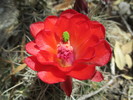 photo thumbnail #3