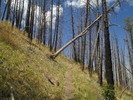 photo thumbnail #4