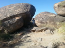 photo thumbnail #6