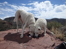 photo thumbnail #14