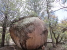 photo thumbnail #5