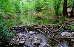 photo thumbnail #6