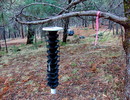 photo thumbnail #10