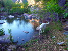 photo thumbnail #1