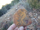 photo thumbnail #2