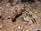 photo thumbnail #11