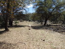 photo thumbnail #12