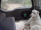 photo thumbnail #9