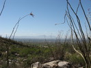 photo thumbnail #1