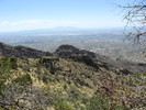 photo thumbnail #4