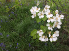 photo thumbnail #5