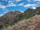 photo thumbnail #7