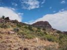 photo thumbnail #9